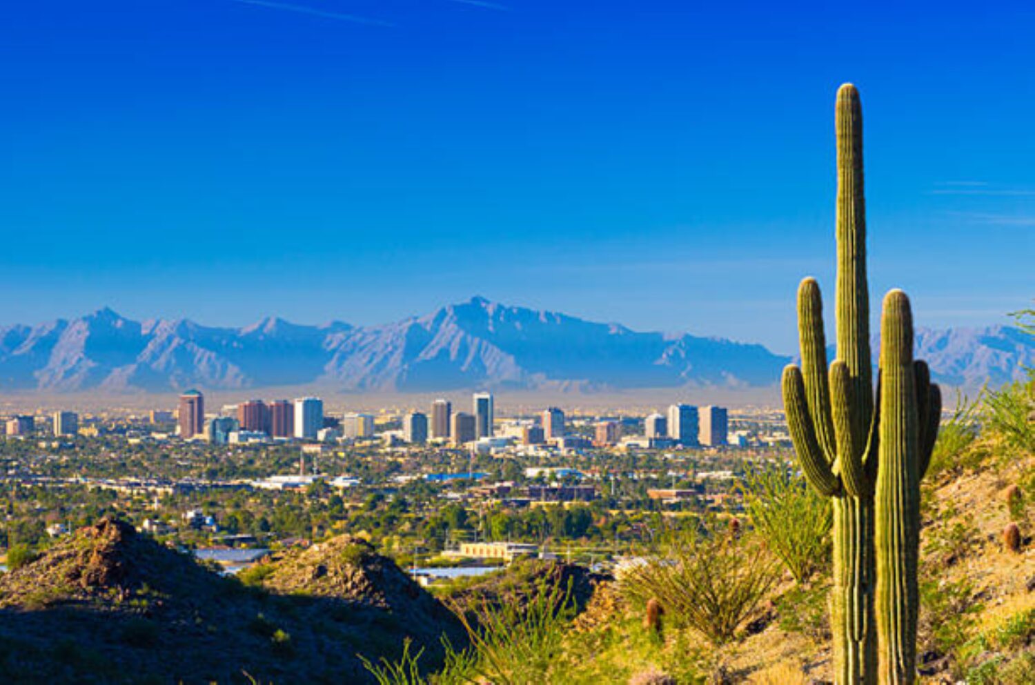 Phoenix, AZ Scenic View of the City